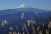 20101205富士山