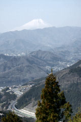 ymR