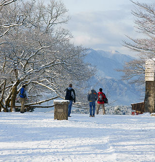 雪の・・・・