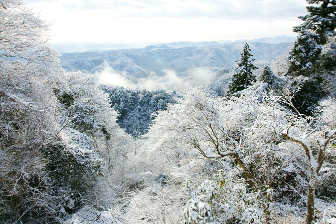 南高尾山稜