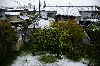 4月中旬の雪景色